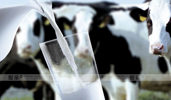 乳制品價(jià)格持續(xù)波動，企業(yè)應(yīng)做好風(fēng)險(xiǎn)預(yù)估